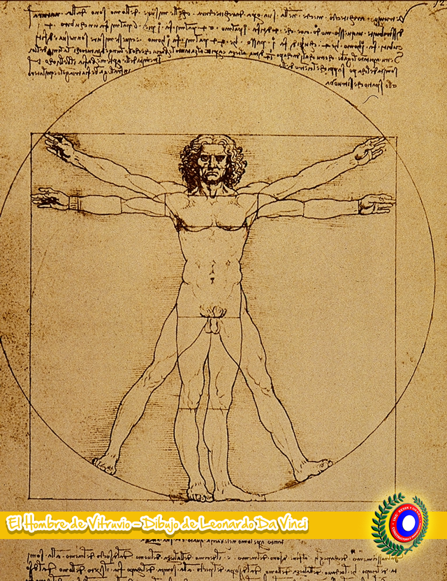 Constructora Resek puede ayudarte a construir tu sueño. 1 Estudio del cuerpo humano. El hombre de Vitruvio Dibujo atribuido a Leonardo da Vinci, data de 1487 Renacimiento. Medidas 34,4 cm × 25,5 cm Galería de la Academia de Venecia Italia