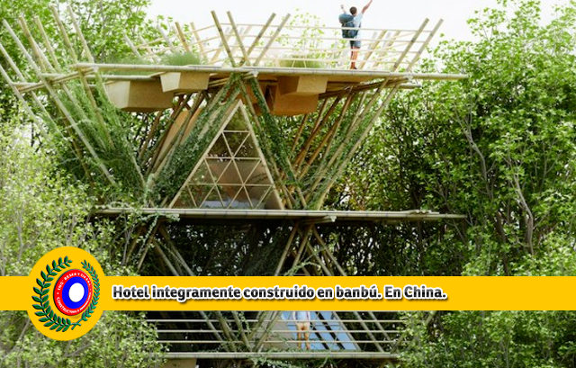 constructora-resek-posadas-misiones-hotel-bambu-ingenieria-arquitectura-posadas-misiones