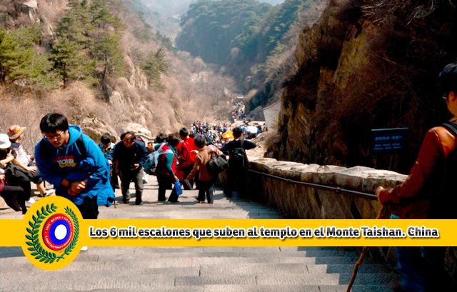 Constructora Resek reconstruye parte de la historia de las escaleras 2 Constructora Resek Posadas La historia de la escalera - Posadas - Misiones