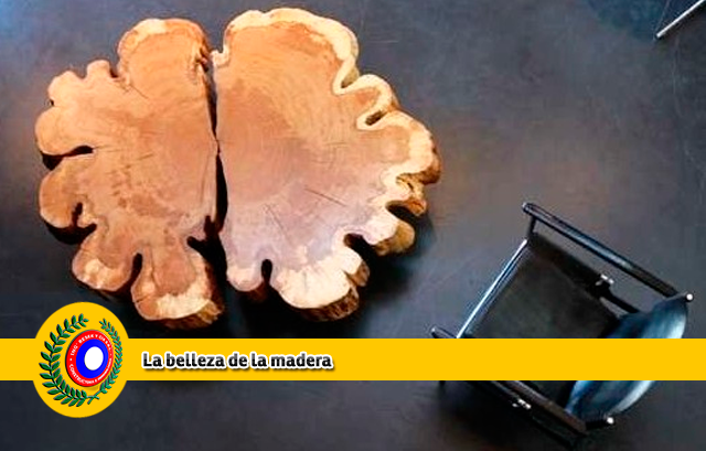 La madera será el hormigón del siglo XXI 1 empresa-constructora-resek-madera-madera-hormigon-del-sgilo-21-madera-posadas-misiones
