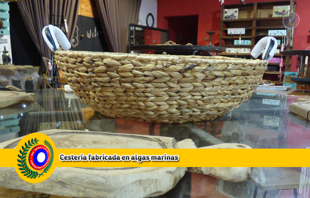 Hacer Decoraciones. Departamento de Diseño de Interiores y Decoración. Constructora Resek