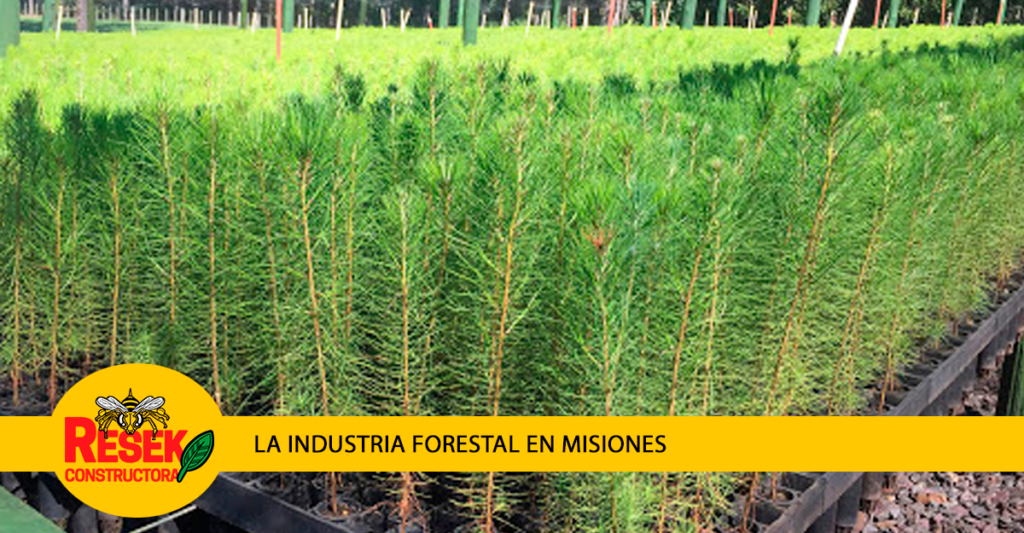 Constructora Resek y la cuarentena: Notas sobre la construcción en Misiones 1