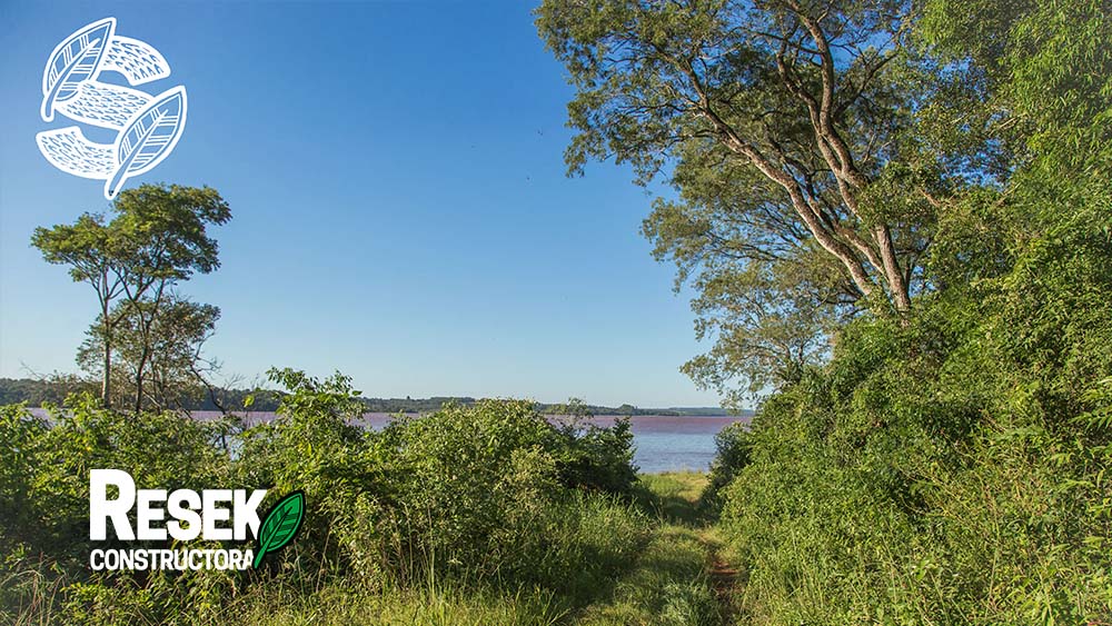 “Proyecto La Selva” de Constructora Resek: cuando el crecimiento se planifica a partir de la sostenibilidad lo que se prioriza es el medio ambiente 2 emprendimiento-inmobiliario-la-selva-constructora-resek-posadas-misiones-2
