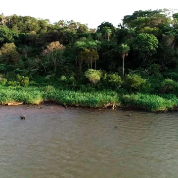 “Proyecto La Selva” de Constructora Resek: cuando el crecimiento se planifica a partir de la sostenibilidad lo que se prioriza es el medio ambiente