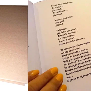 Reconocimiento legislativo al libro «Dama & Amo» cuyo autor es el director de Empresa Constructora Resek