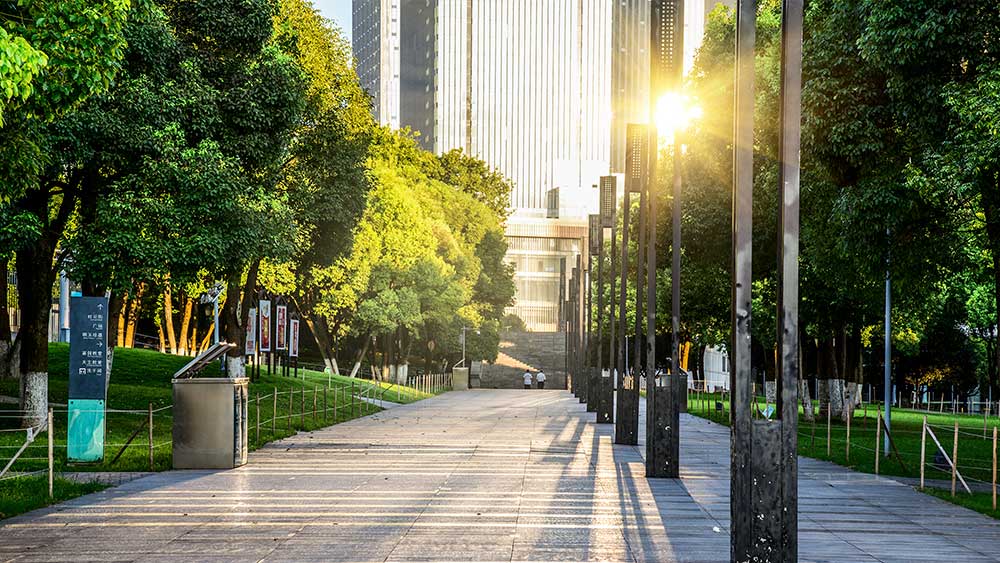 Propiciamos la economía circular, donde la bio arquitectura y la arquitectura sustentable sean las ofertas de servicios de las empresas constructoras en pos de un mundo mas amigable con el medio ambiente 4 economia-circular-bio-arquitectura-y-arquitectura-sustentable-empresa-constructora-resek-posadas-misiones-2