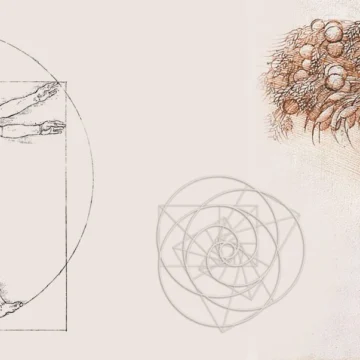 En Constructora Resek tenemos la certeza de que siempre hay cosas que aprender en la naturaleza.
