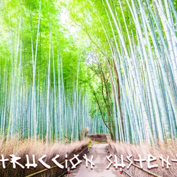 Es necesario que empecemos a pensar distinto sobre el desarrollo y la necesidad de cuidar el medio ambiente