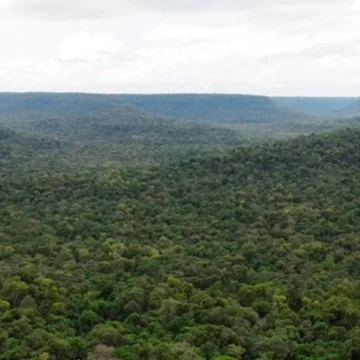 CONSERVACIÓN AMBIENTAL: SUS ASIMETRÍAS Y LOS EFECTOS DOMINÓ DE LA DEFORESTACIÓN