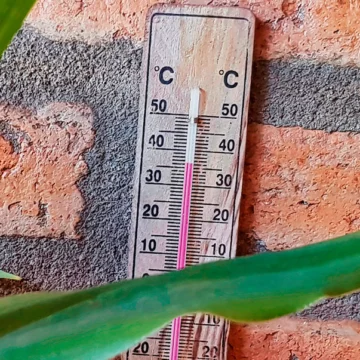 ¿Qué nos dicen las olas de calor actuales sobre el cambio climático?