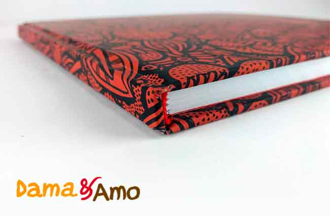 Libro Dama y Amo 1 libros-dama-y-amo-autor-julio-resek-ilustraciones-fado-direccion-de-arte-empresa-constructora-resek-posadas-misiones2