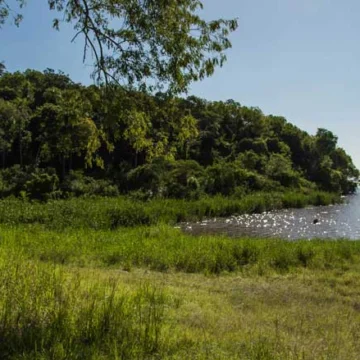 Barrio Cerrado La Selva: VIDA EN PLENA NATURALEZA