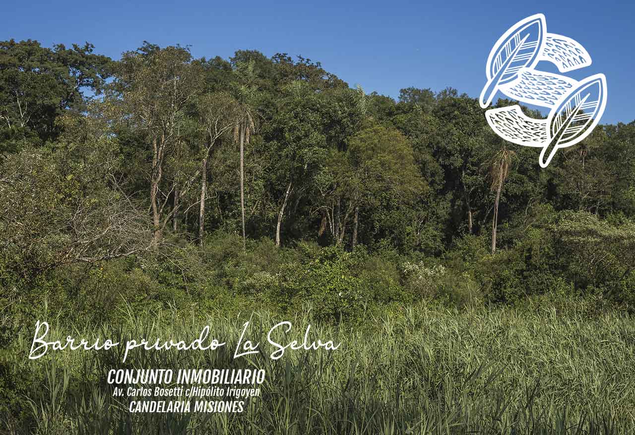 Lotes en Candelaria (Misiones): barrio privado sobre el río, a 31 minutos de Posadas 1 Vegetación nativa y borde ribereño del barrio privado La Selva en Candelaria, Misiones
