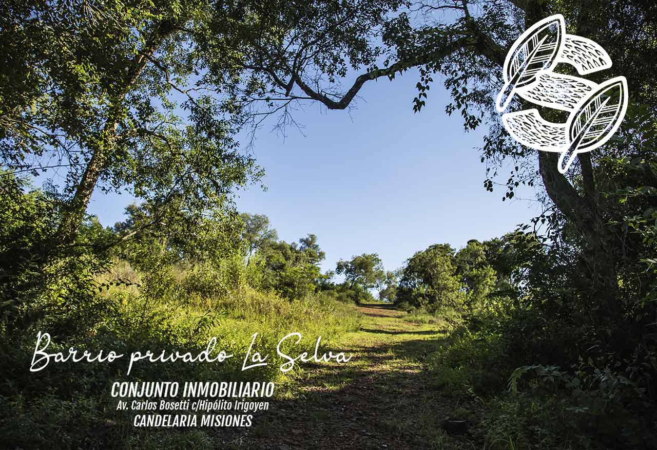 Lotes en Candelaria (Misiones): barrio privado sobre el río, a 31 minutos de Posadas 5 Sendero natural en La Selva, Candelaria, con vegetación nativa a ambos lados