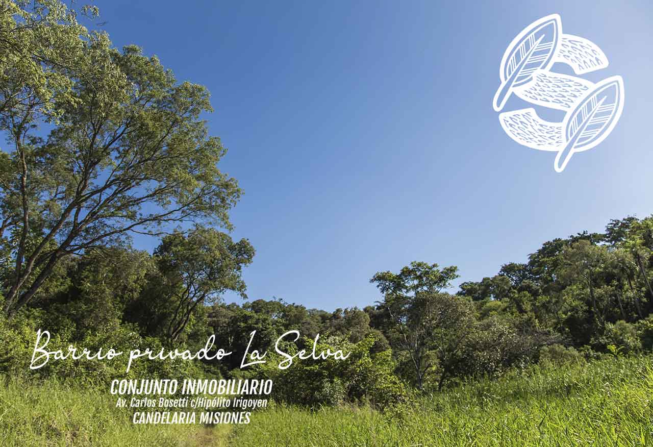 Lotes en Candelaria (Misiones): barrio privado sobre el río, a 31 minutos de Posadas 2 Paisaje de selva y cielo despejado en el barrio privado La Selva, Misiones