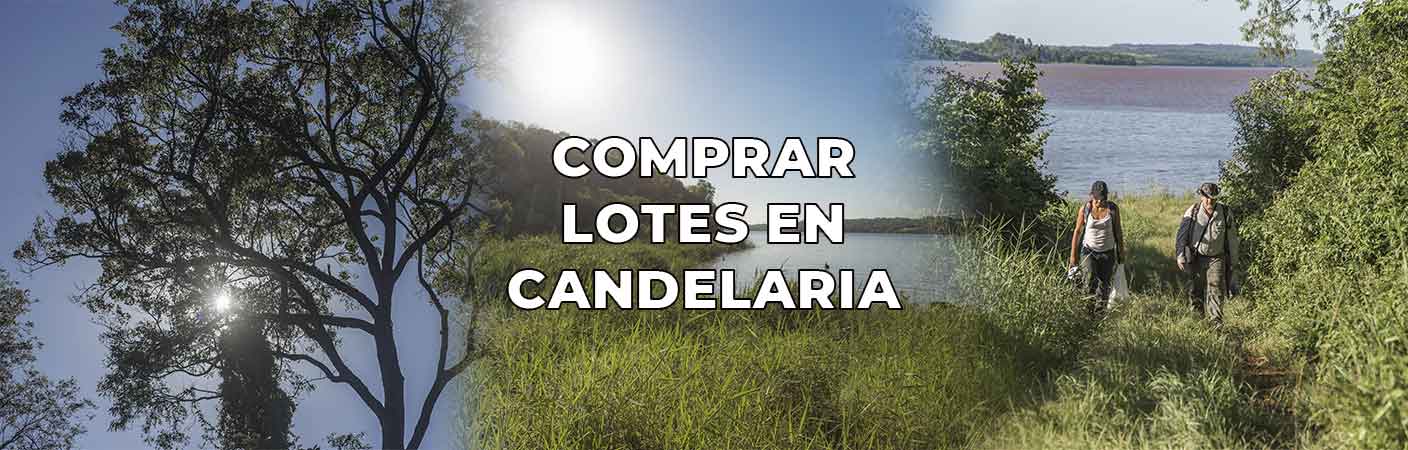 Lotes en Candelaria (Misiones): guía para elegir el mejor lote