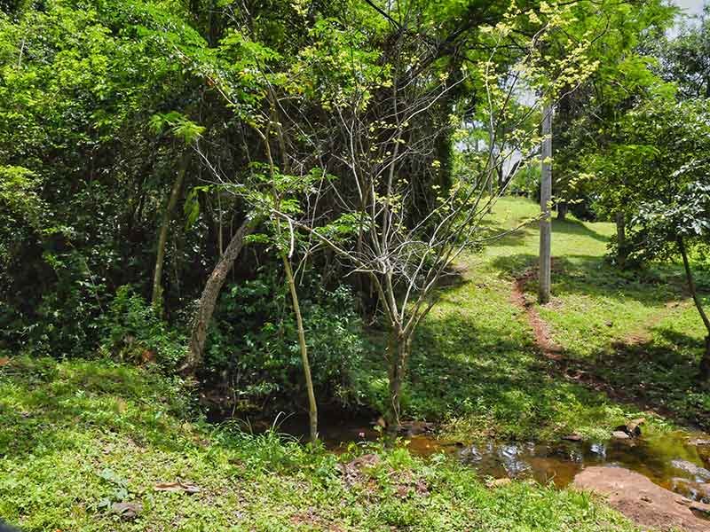 Barrio Cerrado La Selva es un desarrollo inmobiliario implantado en 10 hectáreas de reserva privada preservada durante décadas, donde más del 70% de la biodiversidad existente permanece protegida. Diseñado para solo 49 familias, combina exclusividad, naturaleza y planificación urbana sostenible en un entorno único. Ubicado en Candelaria, Misiones, es un proyecto desarrollado y construido por Constructora Resek, con base en Posadas, Misiones.