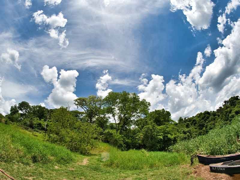 Barrio Cerrado La Selva es un desarrollo inmobiliario implantado en 10 hectáreas de reserva privada conservada durante décadas, donde más del 70% de la biodiversidad permanece protegida. Ubicado sobre la costa del río Paraná, en Candelaria, Misiones, y a solo 30 minutos de Posadas, ofrece exclusividad para 49 familias en un entorno natural único. Desarrolla y construye Constructora Resek, Posadas, Misiones.
