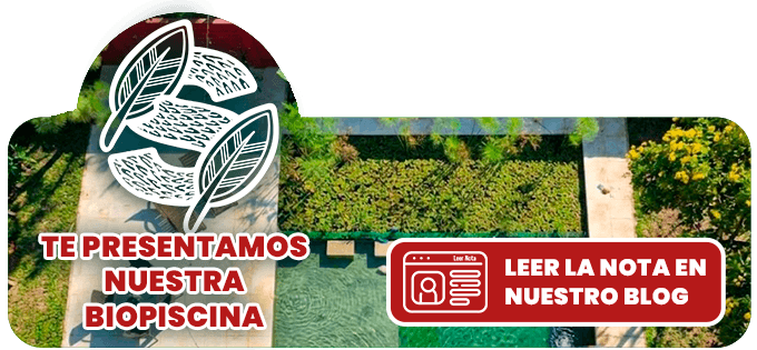 Biopiscina modelo de Constructora Resek en Posadas, Misiones, con zona de nado de agua cristalina y área de regeneración con plantas acuáticas nativas que filtran el agua de forma natural