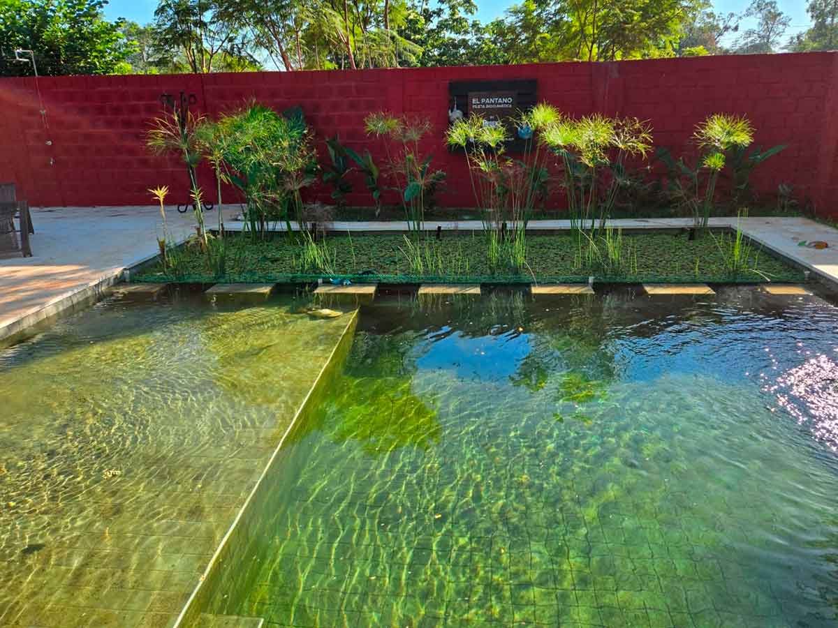 Primer plano de la biopiscina modelo de Constructora Resek en Posadas, Misiones. Se observa la zona de nado con agua cristalina y la zona de regeneración con plantas acuáticas nativas, integradas con el muro rojo de fondo y la cartelería del predio. Imagen real que demuestra el funcionamiento y aspecto natural de una piscina biológica.