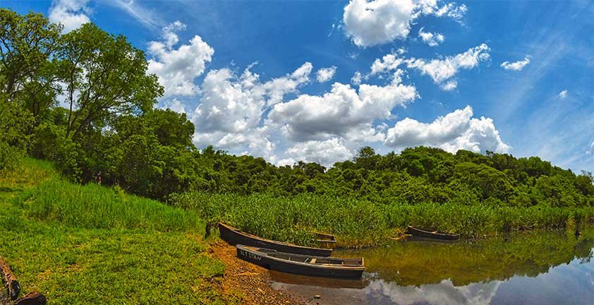 Costa del río Paraná junto al Barrio Cerrado La Selva en Candelaria, Misiones, rodeada de naturaleza nativa.