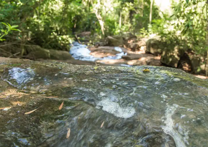Arroyo interno corriendo sobre roca basáltica en el Barrio Cerrado La Selva, reserva natural privada en Candelaria, Misiones