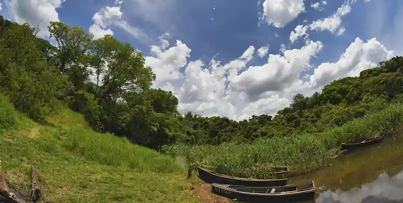 Canoas sobre el río Paraná en la costa del Barrio Cerrado La Selva, Candelaria, Misiones. Monte nativo en la barranca y cielo abierto sobre el agua.<br />
Title: Costa del río Paraná, Barrio Cerrado La Selva, Candelaria