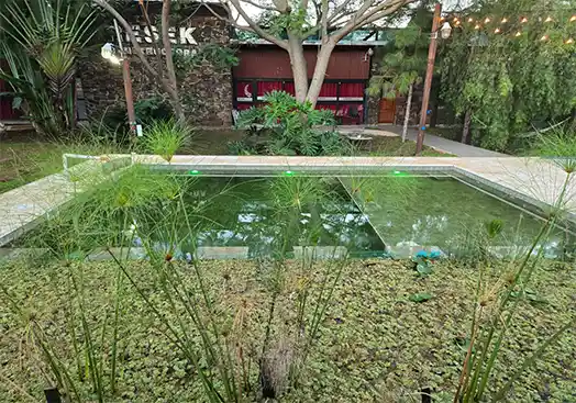 Biopiscina natural sin cloro en la sede de Constructora Resek en Posadas, con plantas acuáticas y filtro biológico