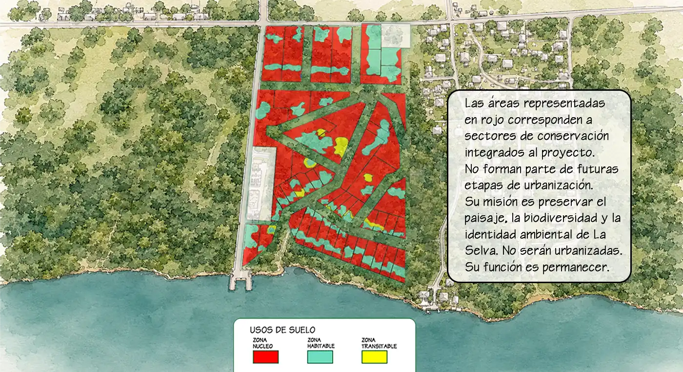 Estructura territorial de La Selva: zona núcleo de conservación estricta, zona habitable para construcción y zona transitable para circulación. Sistema integrado de protección ambiental.