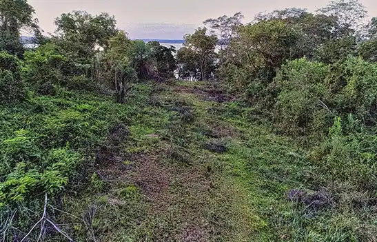 Sendero natural entre el monte nativo con vista al río Paraná, en Barrio Cerrado La Selva, Candelaria