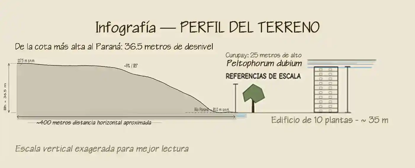 Infografía del perfil topográfico de Barrio La Selva, Candelaria, Misiones. Muestra el desnivel de 36,5 metros entre el nivel de calle en el sector urbano de Candelaria y el río Paraná, con referencias de escala: un Curupay de 25 metros y un edificio de 10 plantas