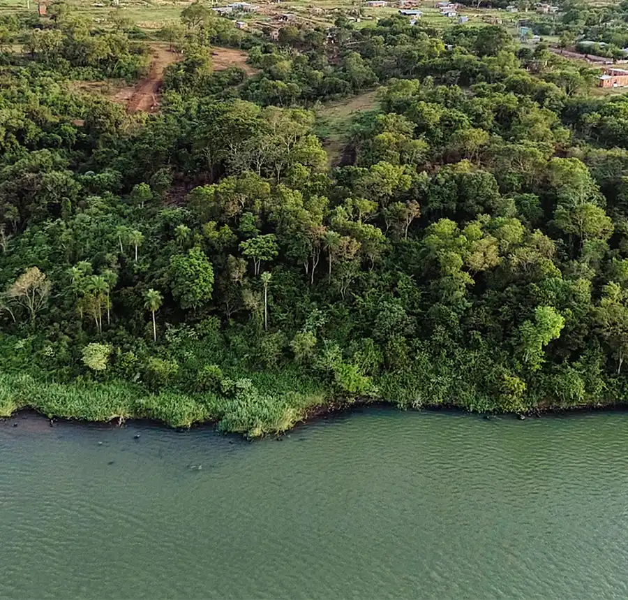 Vista aérea de La Selva: bosque nativo denso a orillas del río Paraná, Candelaria, Misiones